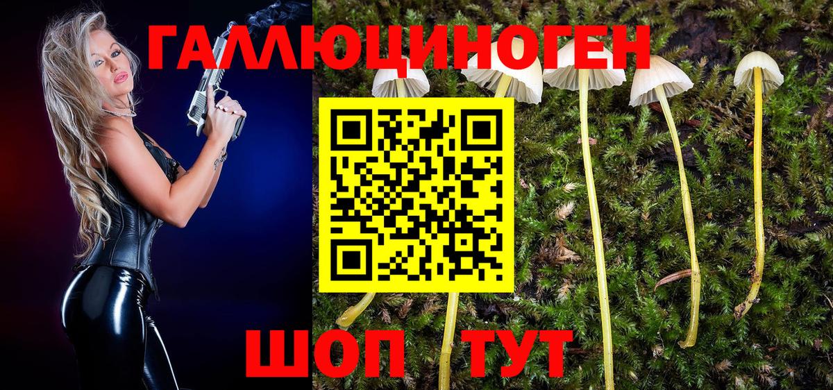 Галлюциногенные грибы Cubensis  Галлюциногенные грибы MAGIC MUSHROOMS  Верхняя Салда  Вход с VPN 